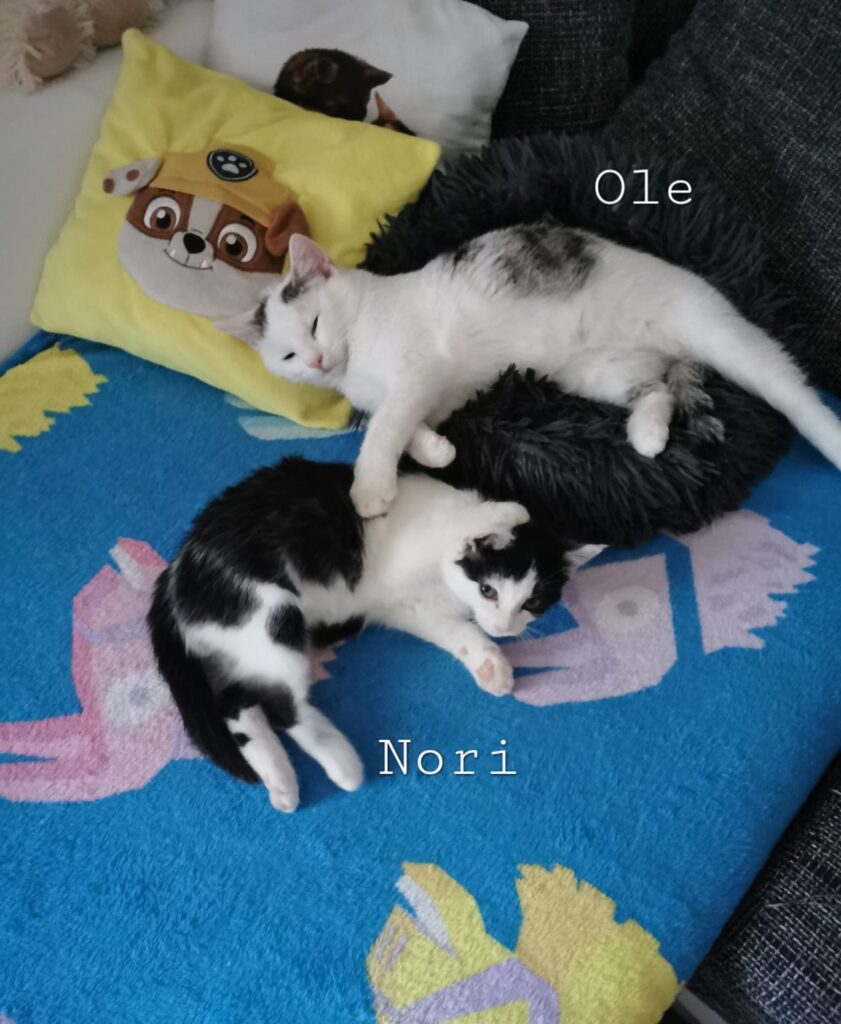 Ole & Nori